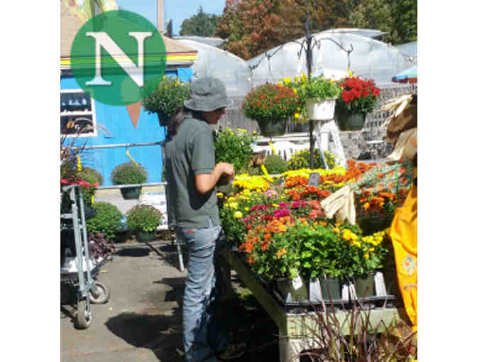 NUNAN FLORIST & GREENHOUSES $50 GIFT CARD