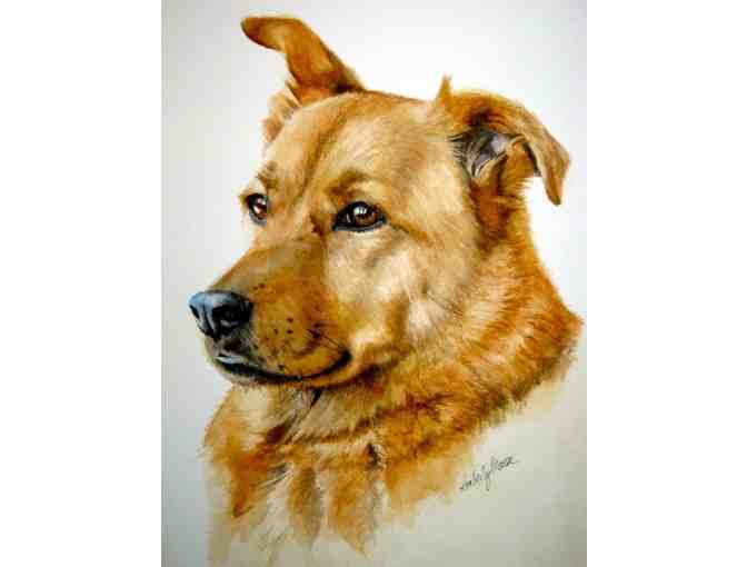 Certificate for a Watercolor Portrait of Your Pet by Kimberly Meuse