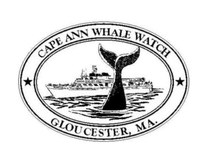 Cape Ann Whale Watch - 2 tickets - Photo 2