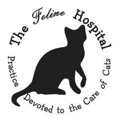 The Feline Hospital