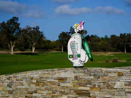 Swing into Style: Limited-Edition Golf Bag & Driver from Cobra