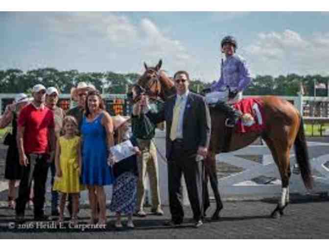 Priceless 'Day at the Races'  Package for 6 at Arlington Heights Race Track