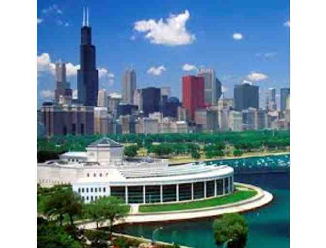 4 General Admission Tickets to the Shedd Aquarium