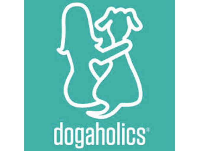 $50 Gift Card to dogaholics For Use at Dogaholics Daycare