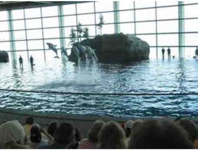 4 General Admission Tickets to the Shedd Aquarium