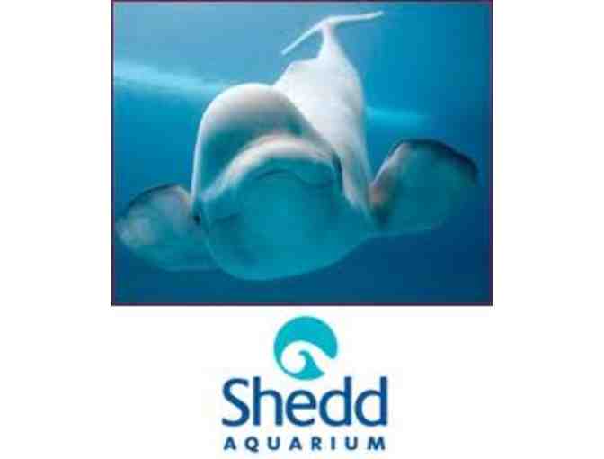 Shedd Aquarium - 4 General Admission Tickets