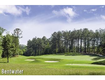 A foursome at your choice of 1 of 15 Canongate Courses like White Oak Golf Club in GA.