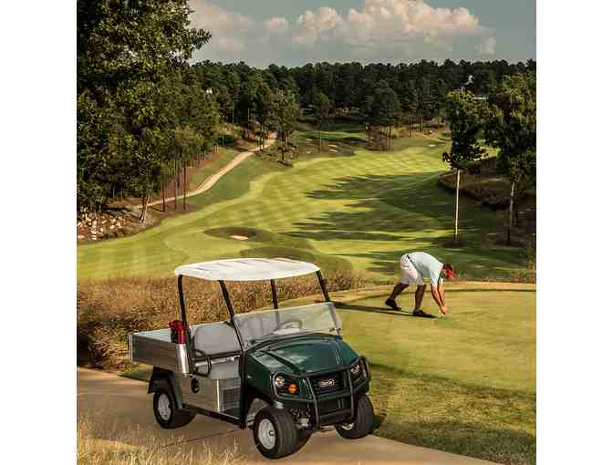 Carryall 500 Turf Utility Vehicle