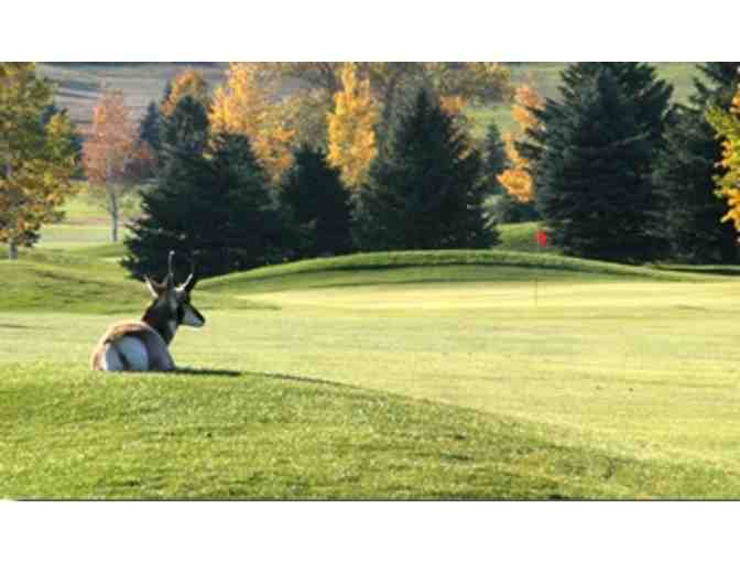 Douglas Community Golf Course - One foursome with carts