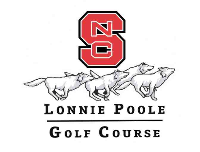 Lonnie Poole Golf Course - One foursome