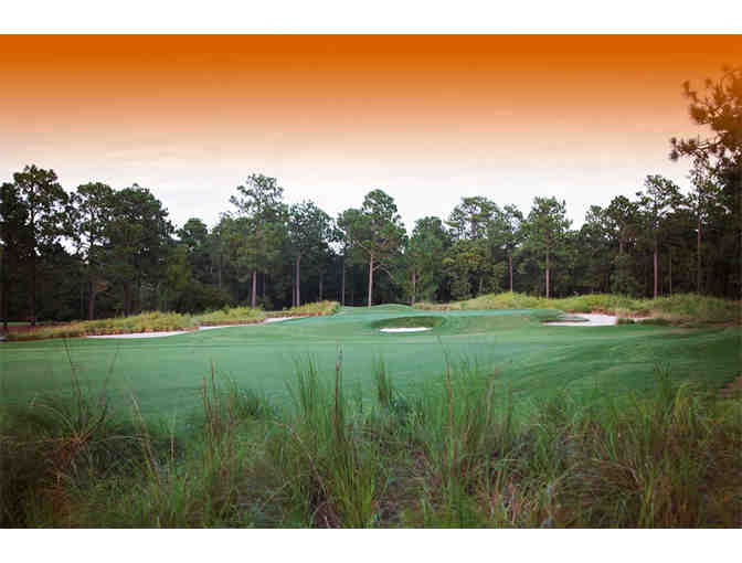 Talamore Golf Resort - One foursome with carts and range balls