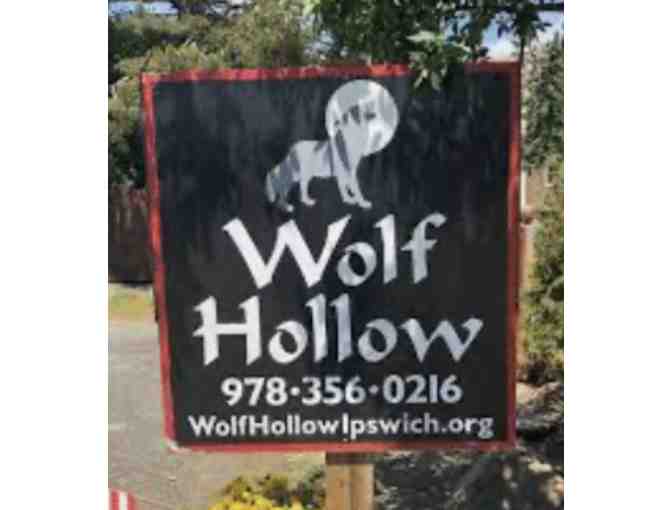 5 passes to Wolf Hollow in Ipswich