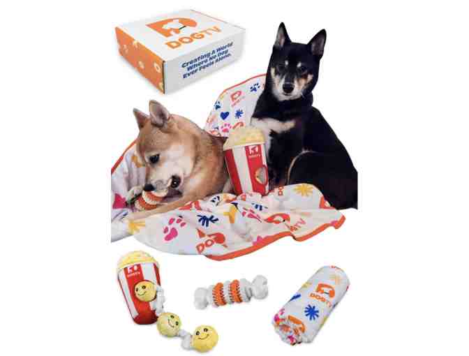 One Year Subscription to Dog TV with Gift Box