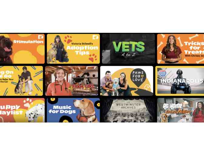 One Year Subscription to Dog TV with Gift Box