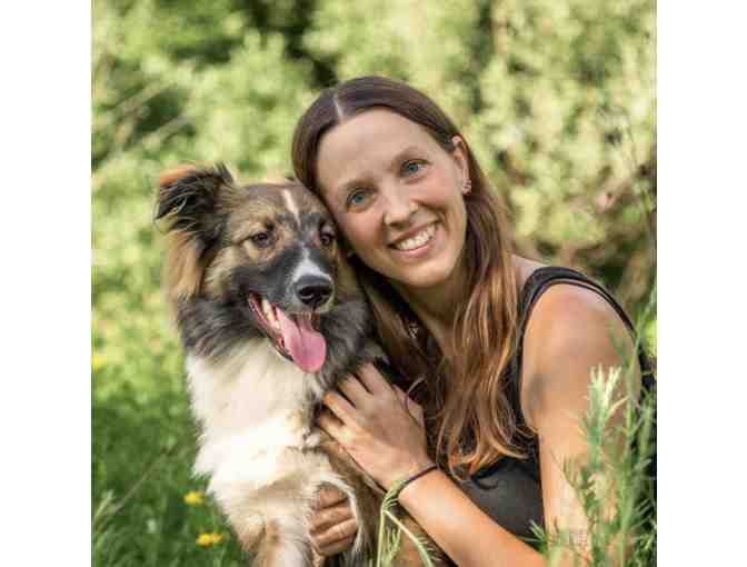 Beyond the Fence: Dog Photography session with $500 photo credit