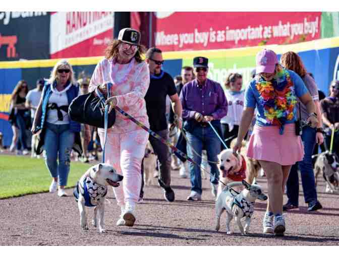 Portland Sea Dogs - FOUR Family Tickets