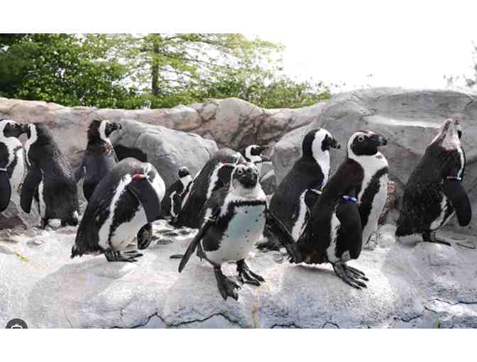 Mystic Aquarium tickets