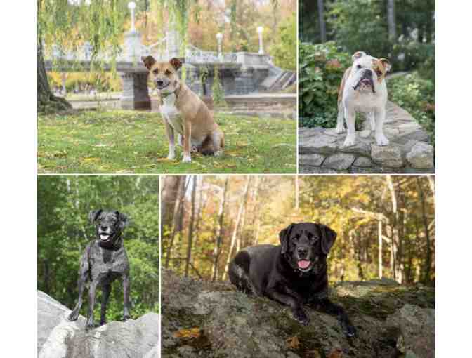 Portrait Session and Photo Credit with Donna Kelliher Photography