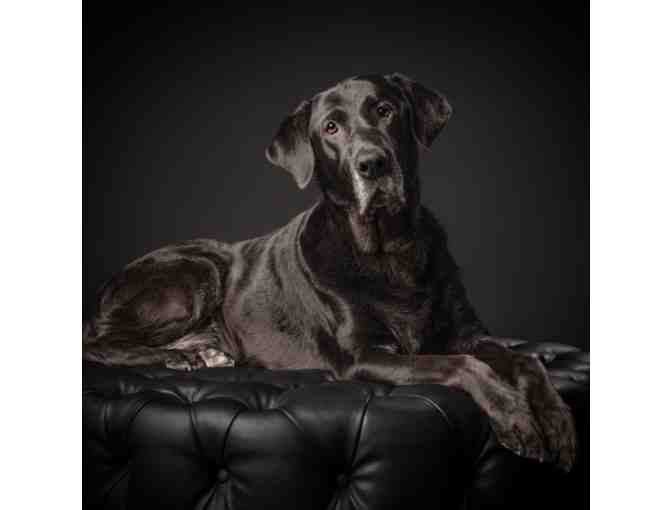 Mallory Portrait Session with Fine Art Portrait and Overnight Hotel Stay