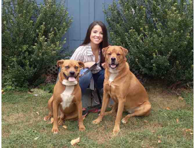 Gift Basket of Dog Treats and $25 Gift Card from PetWants Newton