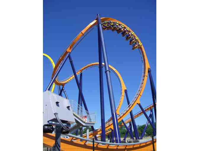 SAVE $20 per person, up to 6 people!!  Bid opens at $5.  Admission at KINGS DOMINION