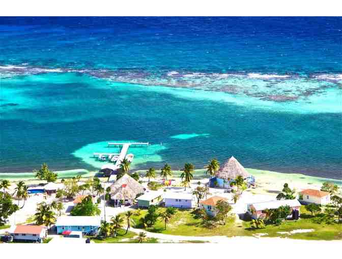1 TRAVEL: Belize (7 nights, Turneffe Atoll, Blackbirds Caye, Diving, Meals)