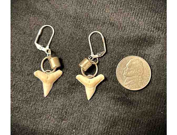 JEWELRY: Earrings, SHARK TOOTH (Silver, Handcrafted)