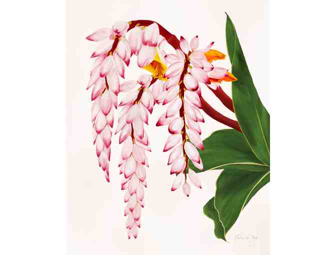 Shell Ginger Print by Aloha de Mele