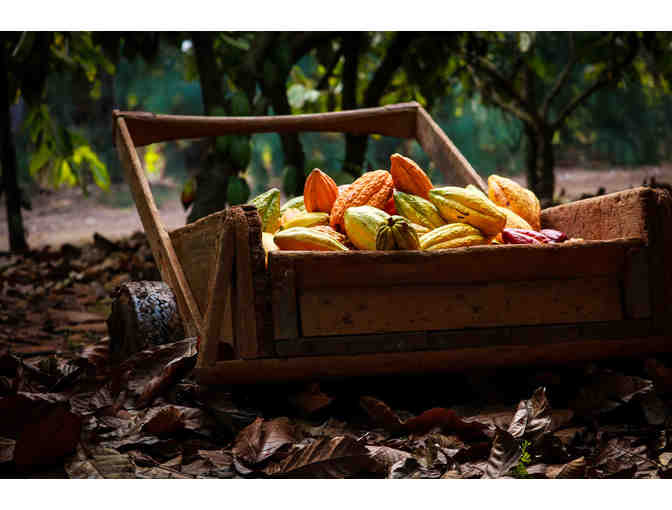 Private Wagon Ride + Tasting at Kahuku Farms (OAHU)