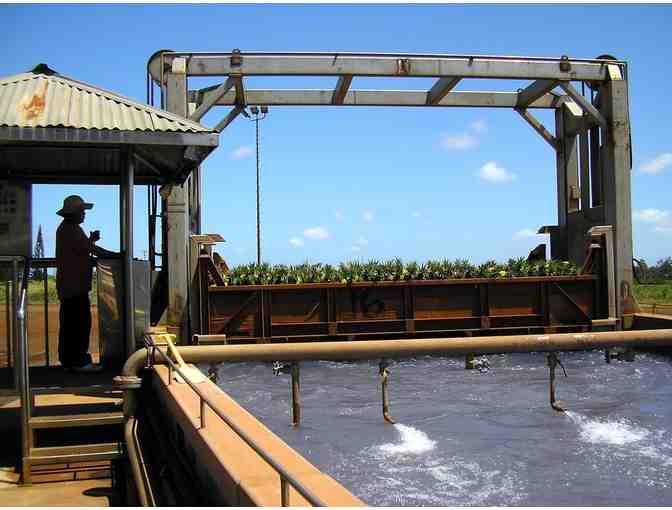 Dole Pineapple Farm Tour for Four (OAHU)