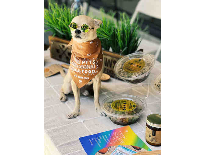 PETS: Bibim Paws Fresh Dog Food Bundle Box