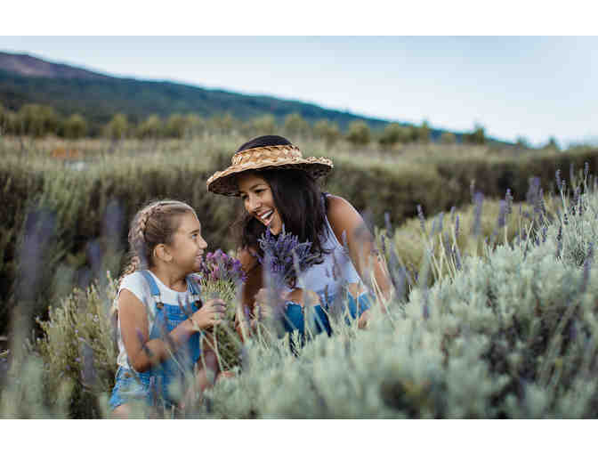 Alii Kula Lavender Culinary Gift Basket