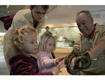 Four Guest Passes to Lindsay Wildlife Museum