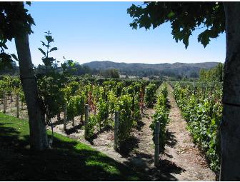 Santa Barbara Wine Excursion