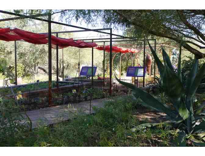 Desert Botanical Garden - Senita Club Membership