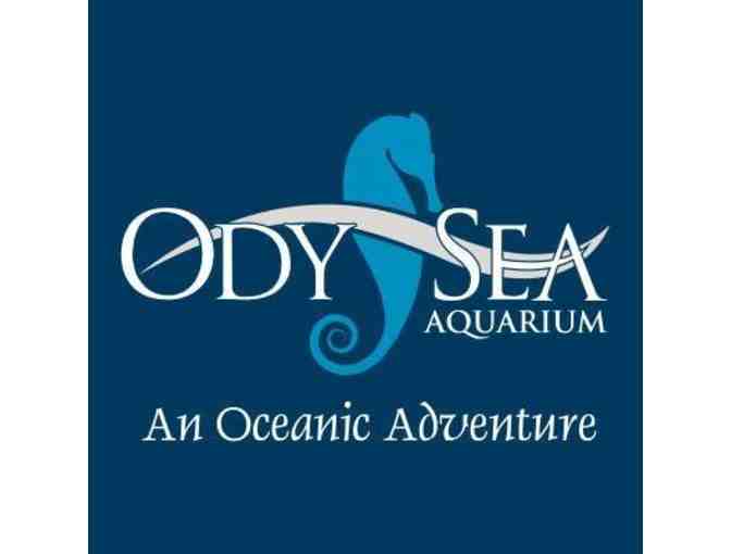 Family Daycation - i.d.e.a. Museum, OdySea Aquarium and Wildflower Bread Company