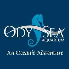 Odysea Aquarium