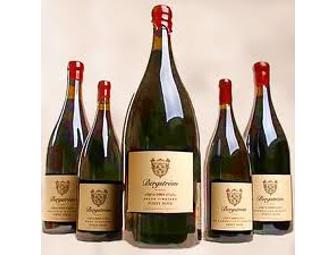 Bergstrom Winery - Tasting for 6 & a Signed Magnum of Pinot Noir
