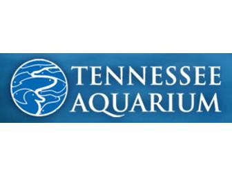 Tennessee Aquarium