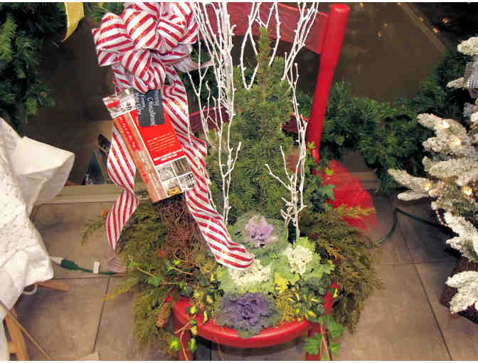 Cabbage Christmas Holiday Red Chair with Live Plants!