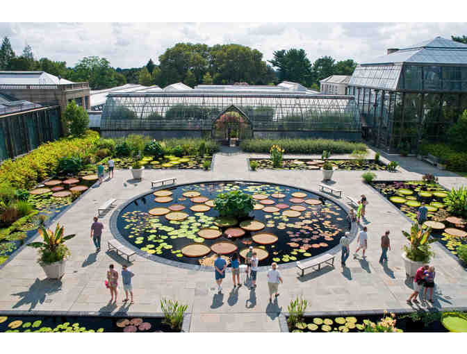 Longwood Gardens Visit & a Meadbrooke Gourd - Photo 4