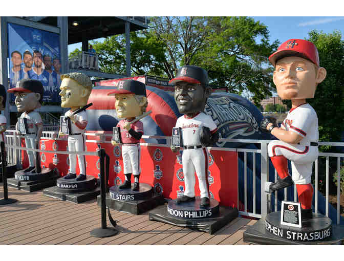 Play Ball! Catch the Harrisburg Senators in Action! - Photo 6