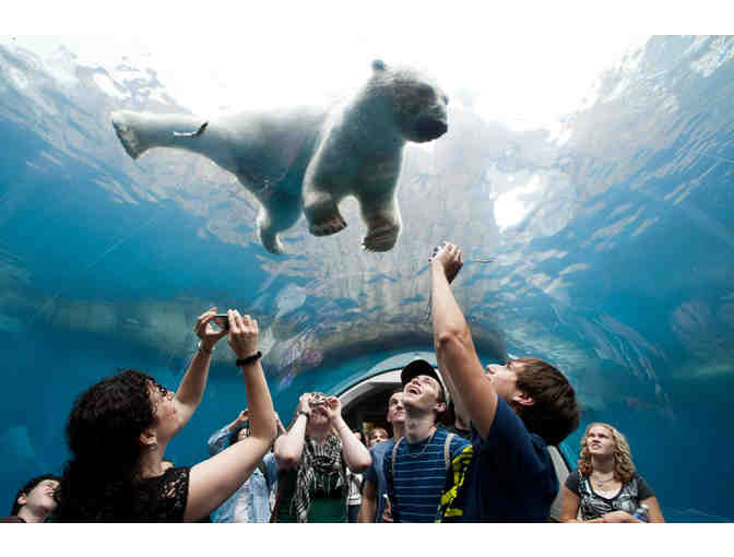 Wild Encounter at the Pittsburgh Zoo & Aquarium - Photo 1