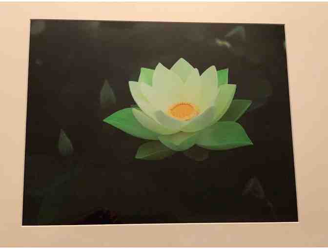 Jesse Alvarez 'Echo Park Lotus' Photo Framed