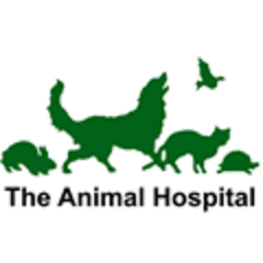 The Animal Hospital