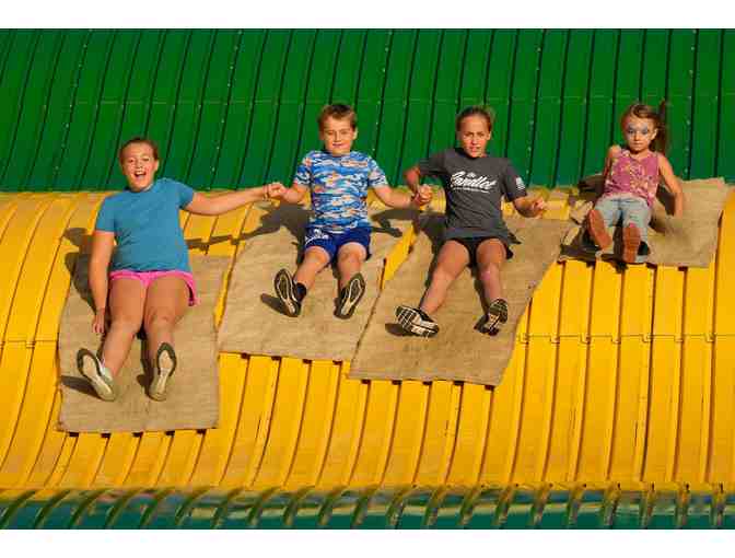 Blue Ribbons & Big Fun at the 2025 Iowa State Fair