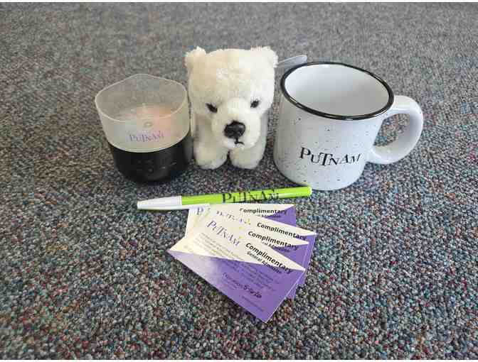 Science & Discovery at the Putnam Museum