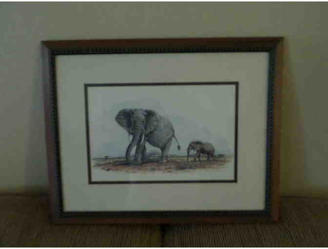 Framed Elephant Print