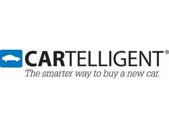 Premium Service from Cartelligent