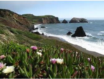 Marin Headlands Wildflower Walk with the Yacubian Family